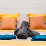 Appartamento Les Minimes Lumière 15 Min Train Station&canal Du Midi Tolosa