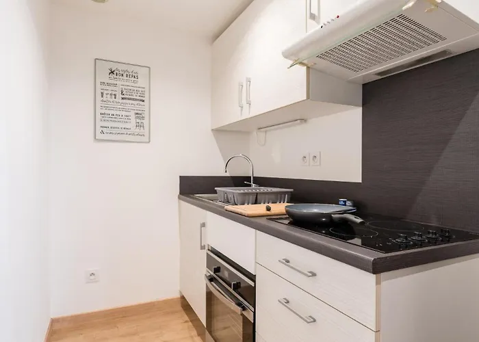 Apartment Les Minimes Lumiere 15 Min Train Station And Canal Du Midi